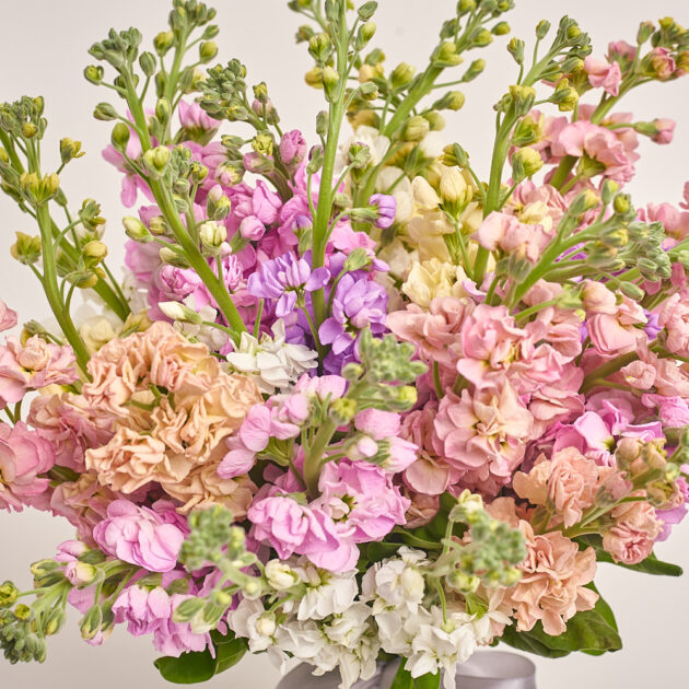 No.51 Blush Mix - Image 2