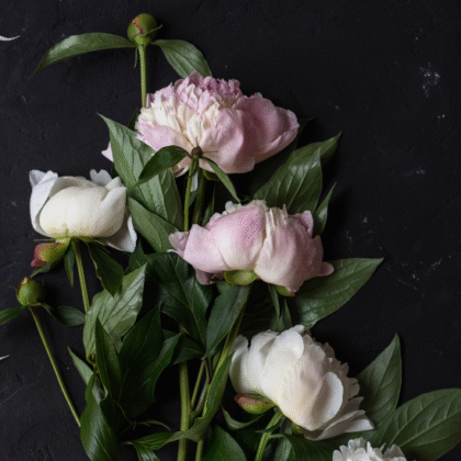 Season Flowers